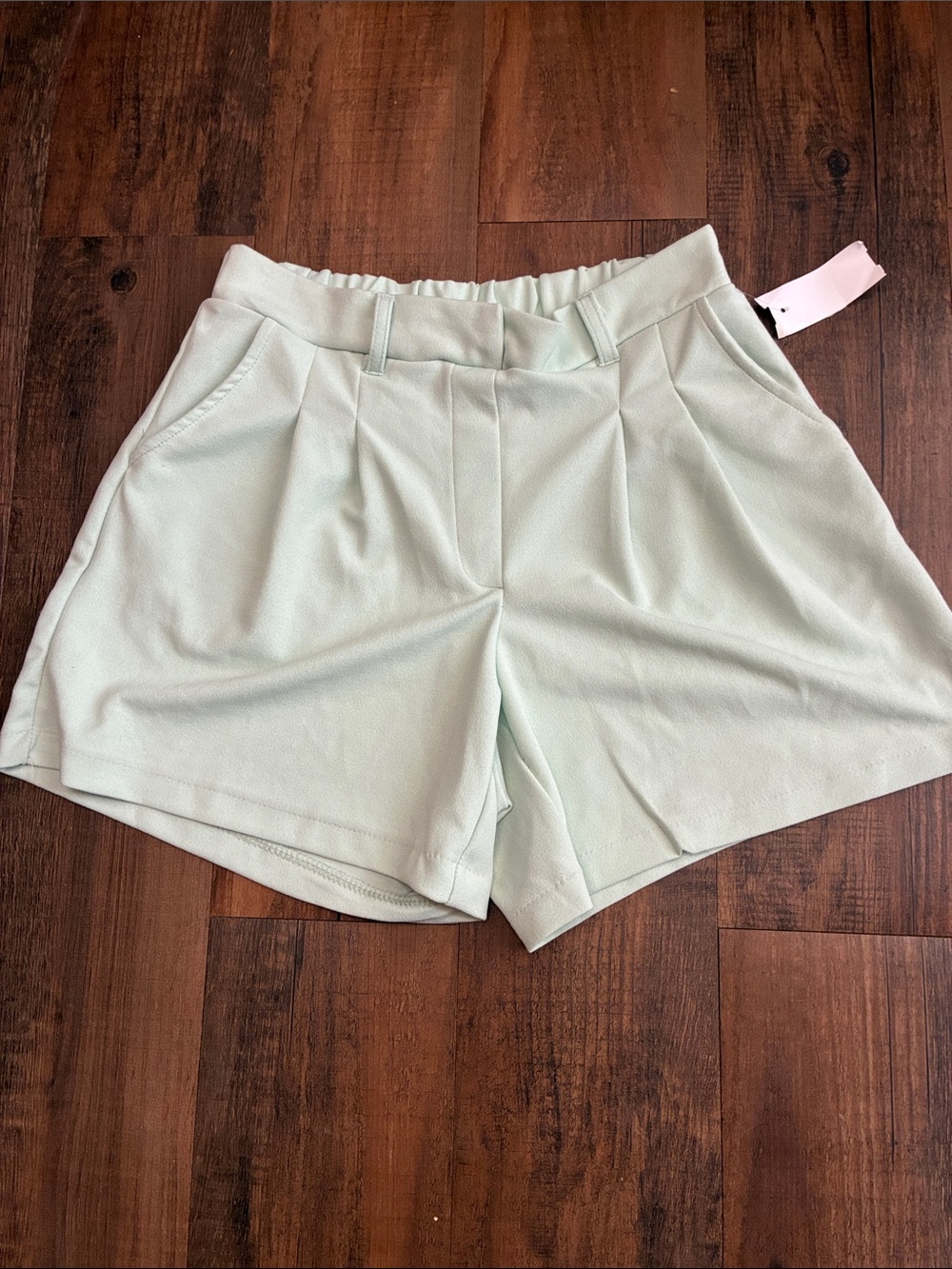 Women's High-Waist Pleated Shorts in Mint